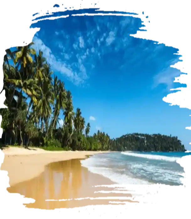 Beach Packages